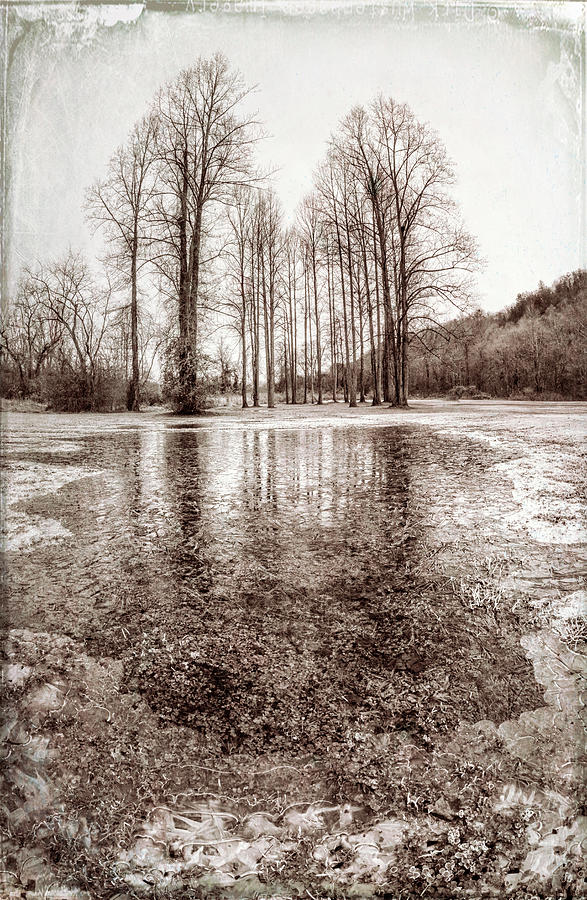Fall Photograph - The Shape of Ice in Vintage Sepia by Debra and Dave Vanderlaan