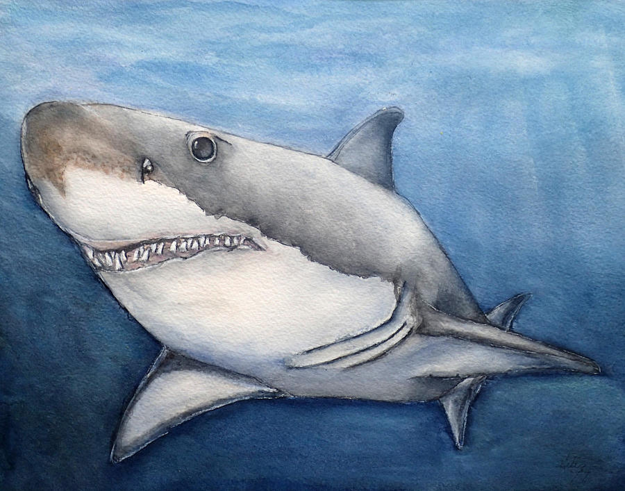 The Shark  Painting by Kelly Mills