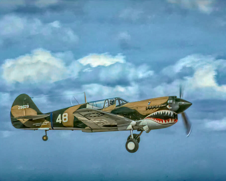 The Shark Nose Photograph by Rob Olson | Pixels