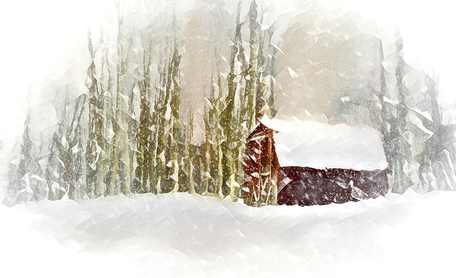 The Shed in the Blizzard Photograph by Reynaldo Williams