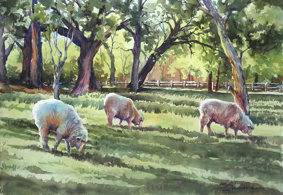 The Sheeps in the Meadow... Painting by Sue Zimmermann