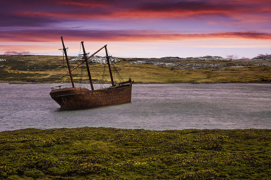 The Shipwreck of Lady Elizabeth in Whale Bone Cove in Port Stanley Harbour, Falkland Islands, British Overseas Territory Photograph by Artie Photography (Artie Ng)