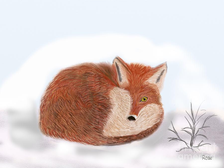 Fox Digital Art - The shivering fox by Elaine Hayward
