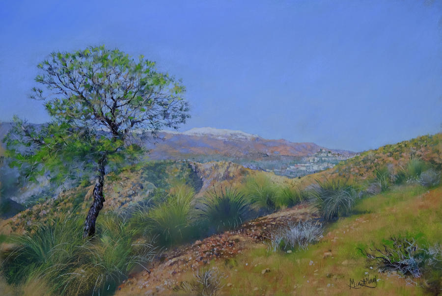 Tree Painting - The Sierra de Gador and Canjayar by Margaret Merry