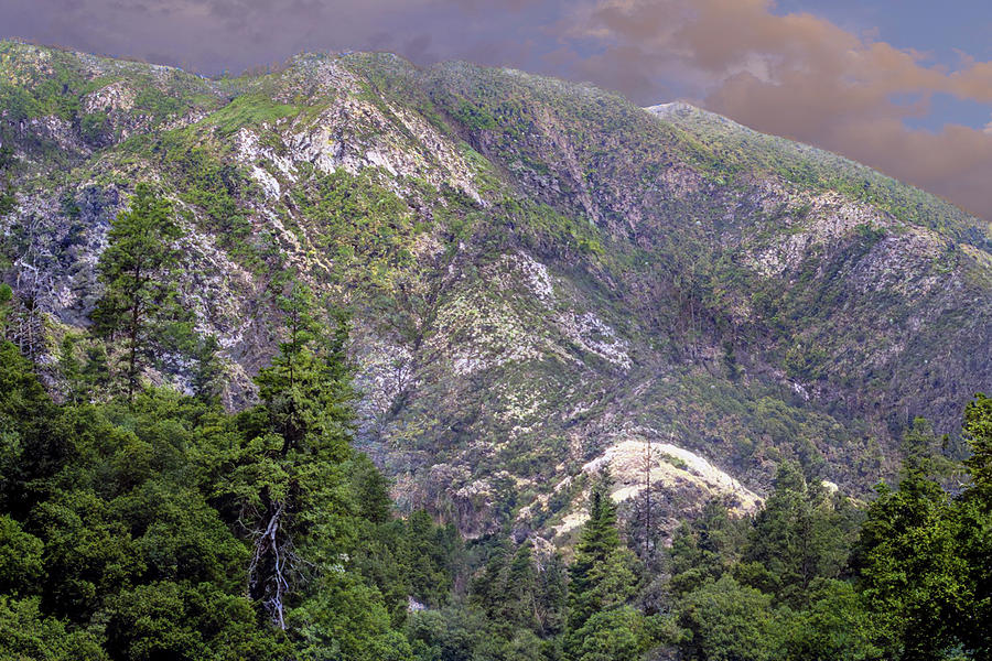 The Sierra Nevada Mountains D Photograph by Frank Wilson