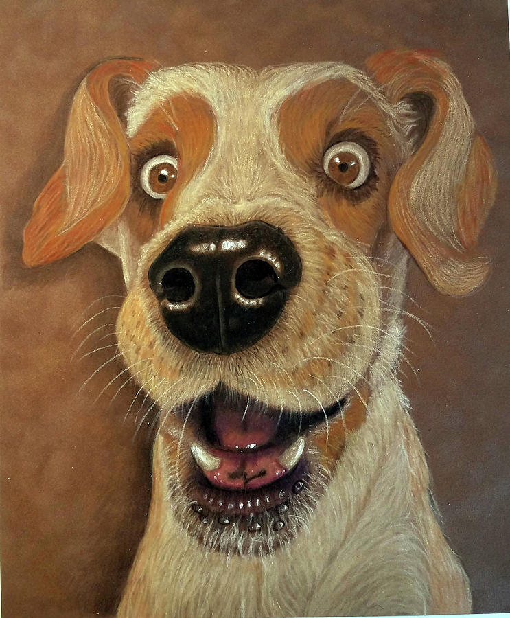 The Silly Dog Drawing by Lorraine Foster Fine Art America