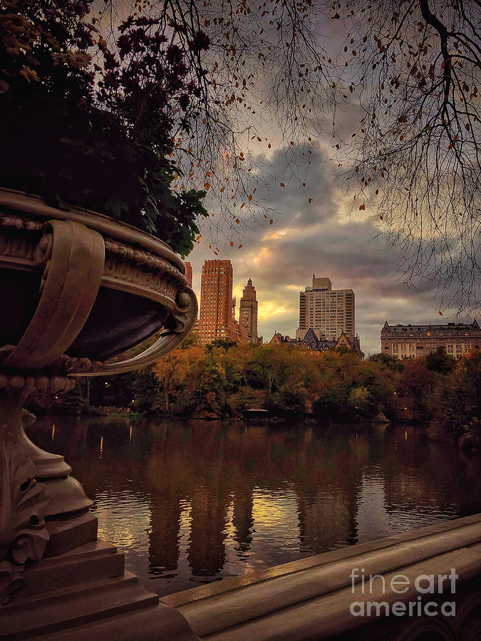 The Silver Lining - Central Park New York Photograph by Miriam Danar