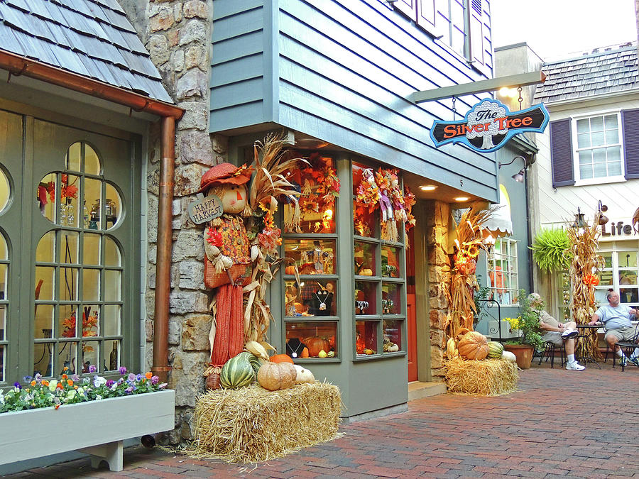 The Silver Tree Shop in Gatlinburg Photograph by Marian Bell - Pixels