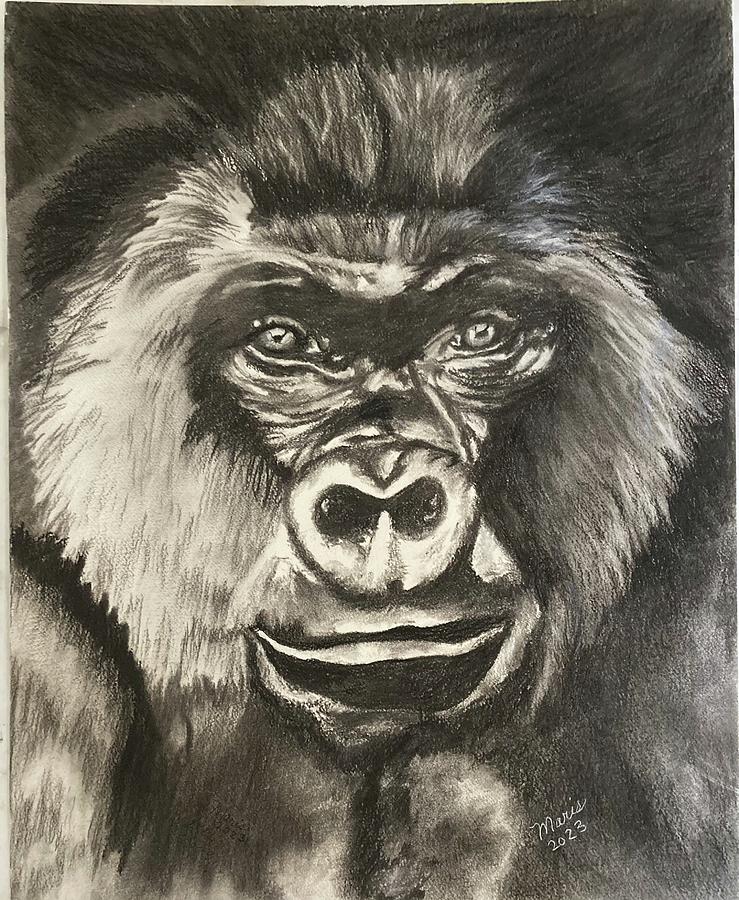 The Silverback Drawing by Maris Sherwood