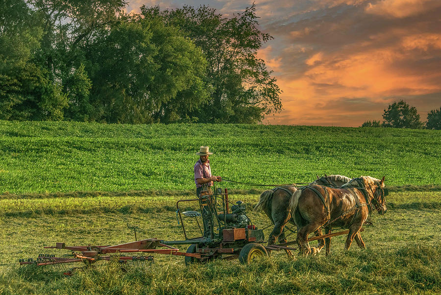 The Simple Life in Amish Country Photograph by Marcy Wielfaert