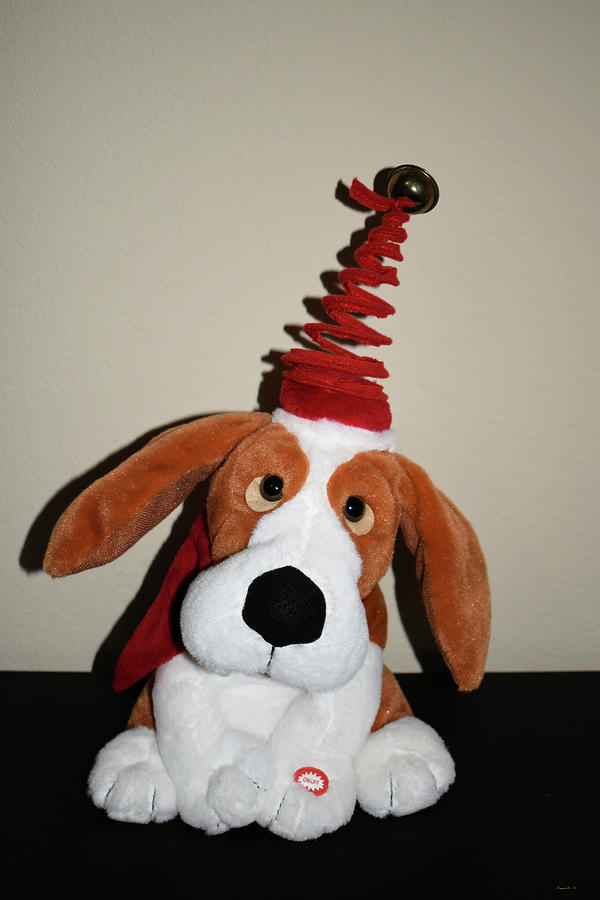 The Singing Christmas Dog Photograph by Kathy K McClellan The Singing Christmas Dog Photograph by Kathy K McClellan
