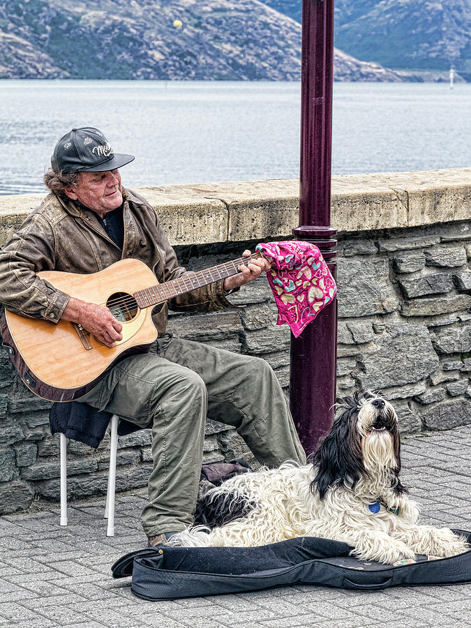 The Singing Dog Photograph by Elaine Teague