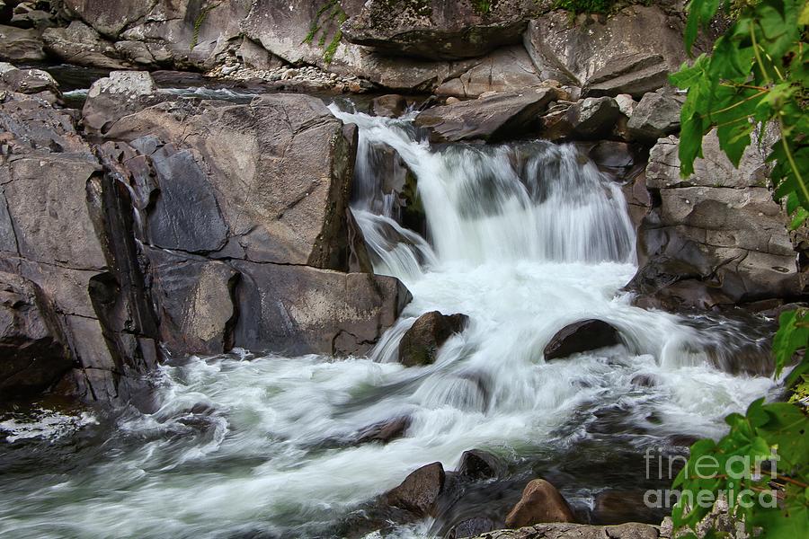 The sinks, smoky mountains Photograph by Theresa D Williams