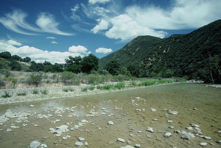 The Sisquoc River Photograph by Soli Deo Gloria Wilderness And Wildlife ...