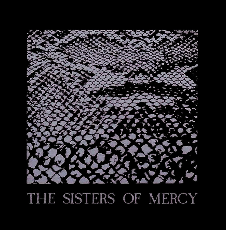 The Sisters Of Mercy Digital Art By Abbas Plaven - Fine Art America