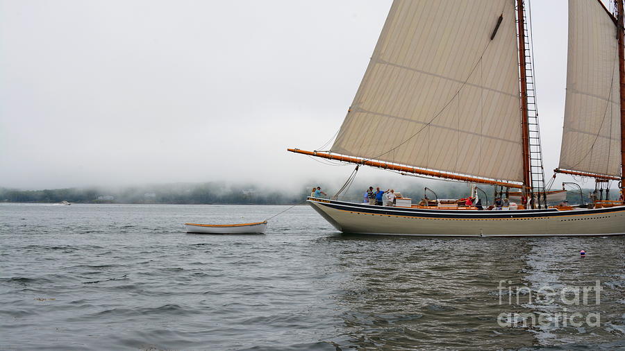 The Skiff Photograph by Steve Brown