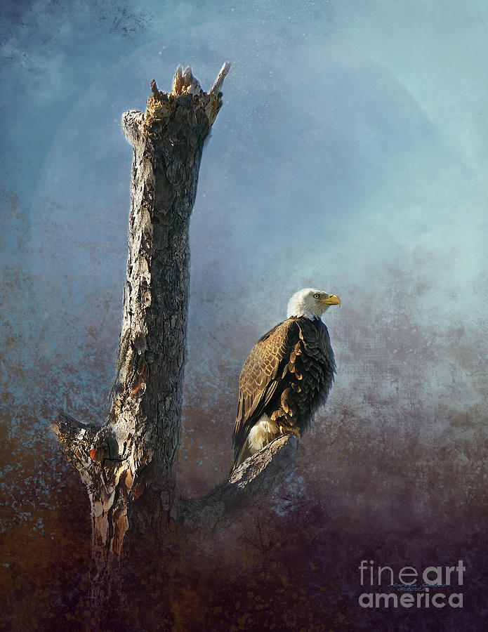 Eagle Mixed Media - The Sky Is Calling by Marvin Spates