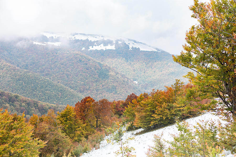 The slope with snow and beautiful, colorful autumn trees Photograph by Rrvachov