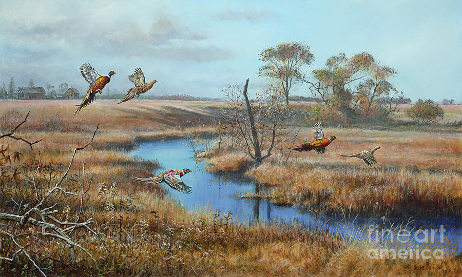 The Slough Pheasants Painting by Scott Zoellick