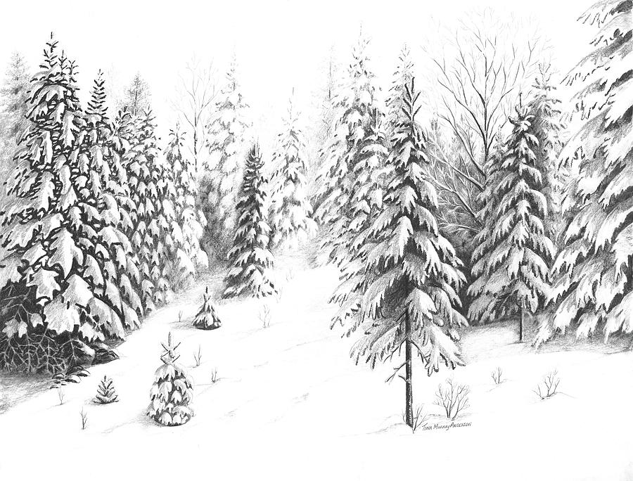 The Smallest Tree Stands Tall Drawing by Tina Murray Anderson - Fine ...