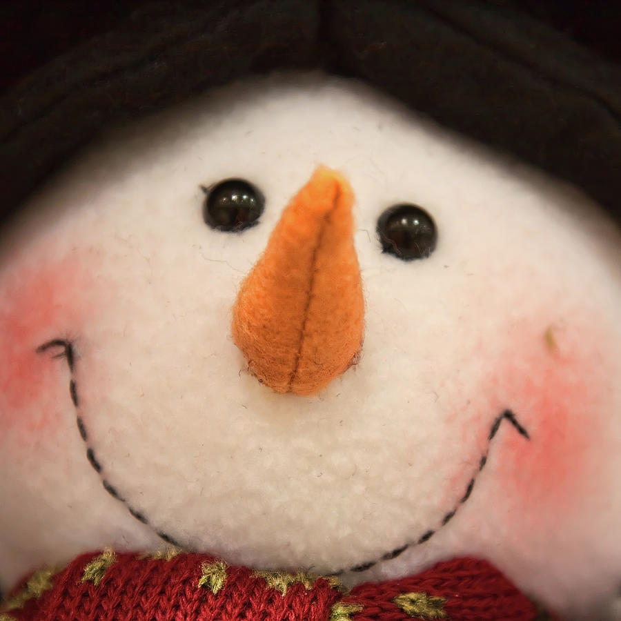 The Smiling Snowman Toy Photograph by Tatiana Travelways