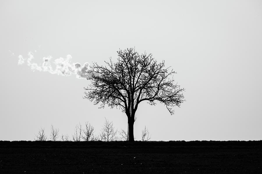 The Smoking Tree Photograph by Martin Vorel Minimalist Photography