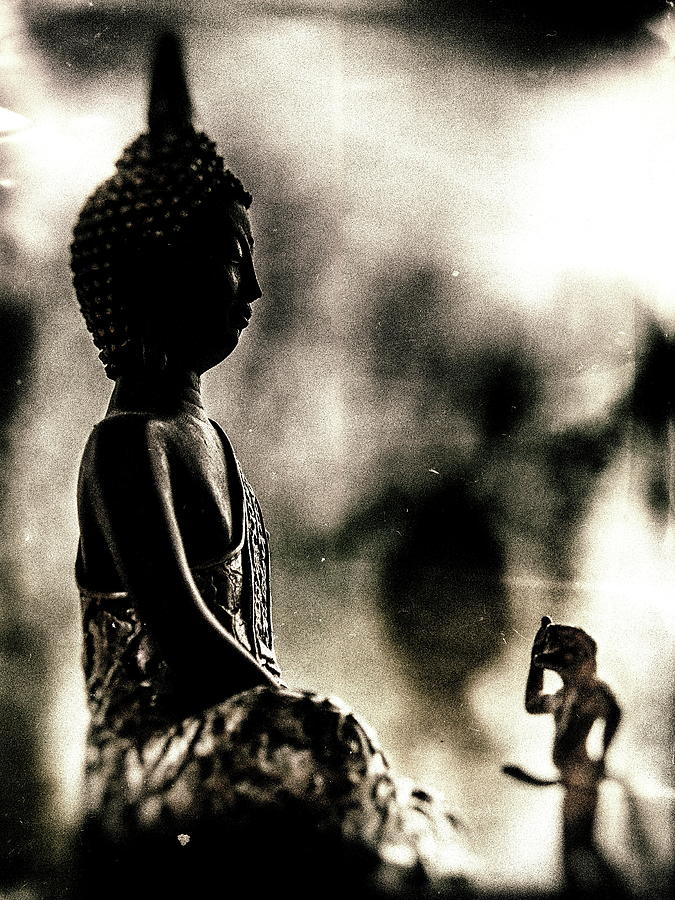 The Snake Man Greets Buddha Photograph by Jorg Becker