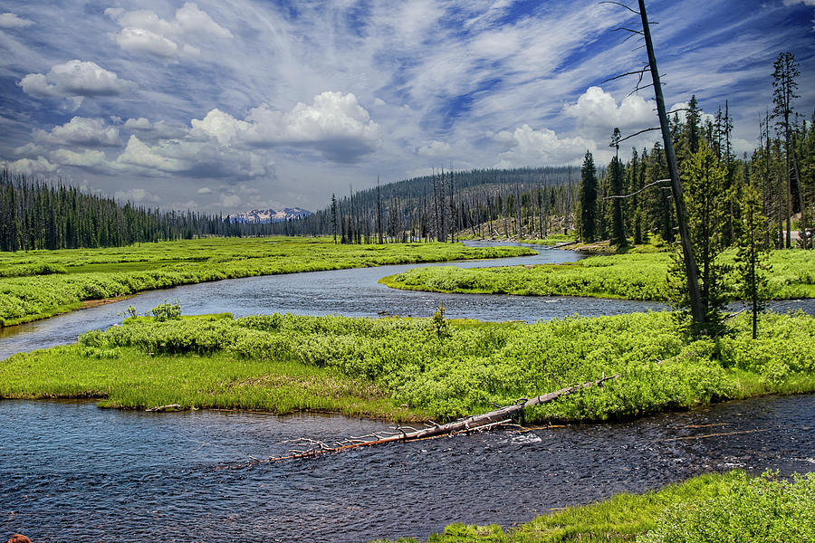 The Snake River in Yellowstone National Park Photograph by Randall Nyhof