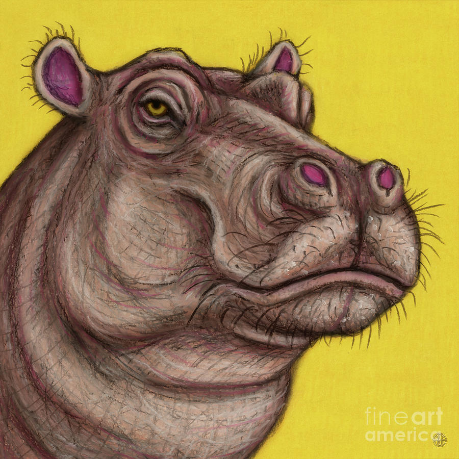 The Snooty Hippo  Painting by Amy E Fraser