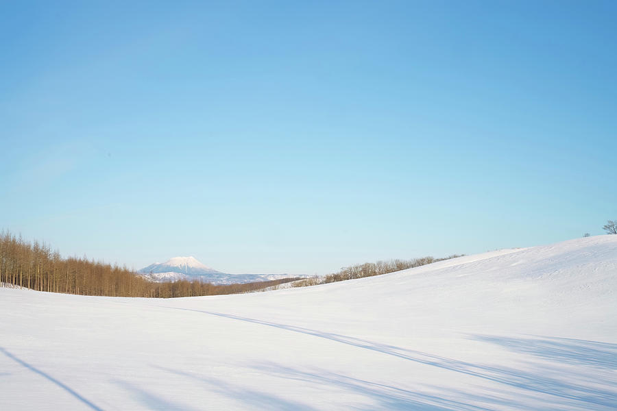 The Snow Landscape Photograph by Kiran Joshi