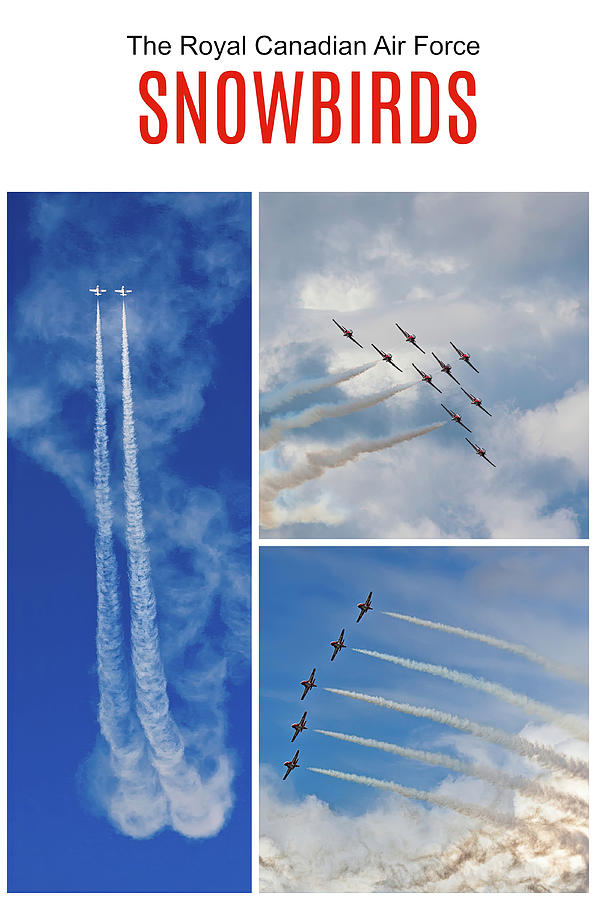 The Snowbirds collage Photograph by Tatiana Travelways