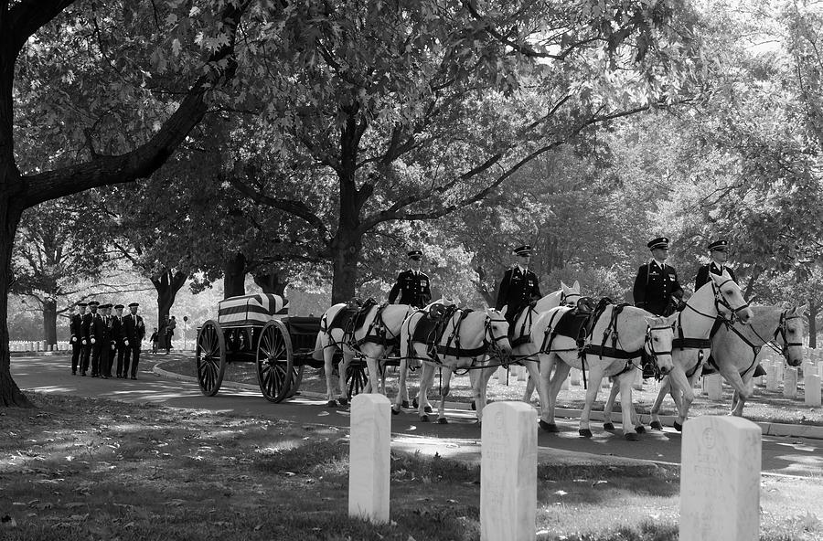 Horse Photograph - The Somber March by US Army Rachel Larue