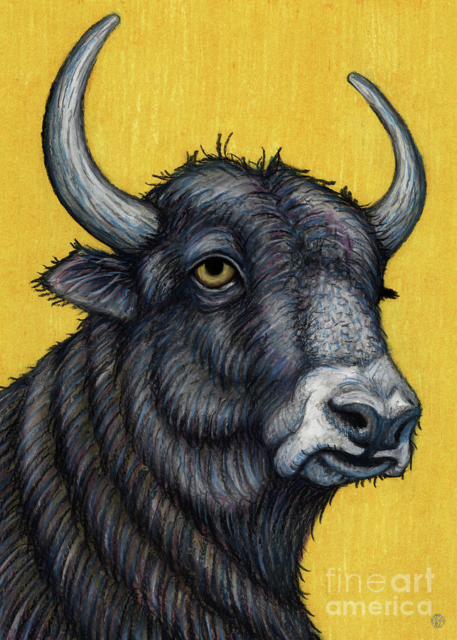 The Sophisticated Yak Painting by Amy E Fraser