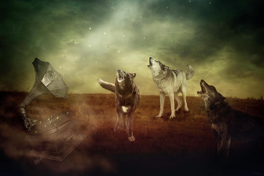 Wolf Digital Art - The Sound of Magic by Nicole Wilde