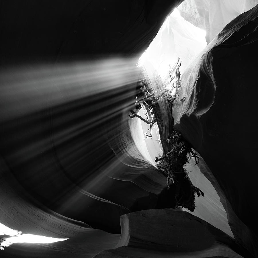 The Space Between - Antelope Canyon Black and White Photograph by Gregory Ballos