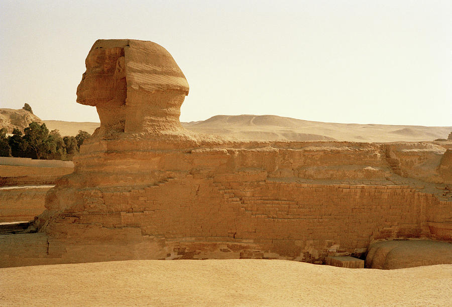 The Sphinx  Photograph by Shaun Higson