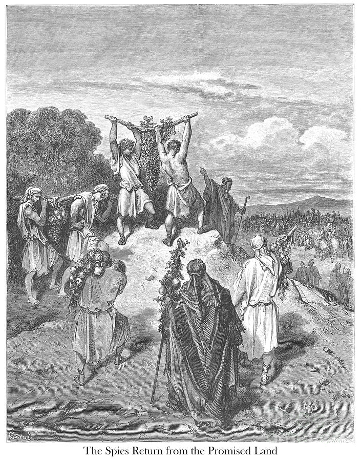 The Spies return from the Promised Land by Gustave Dore v1 Drawing by Historic illustrations