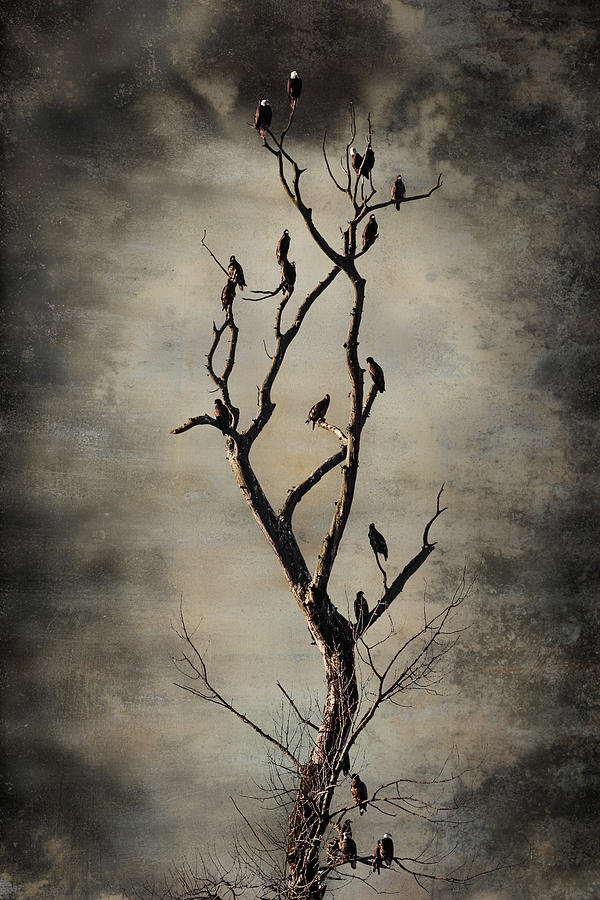 The Spirit Tree Digital Art by Manpreet Sokhi