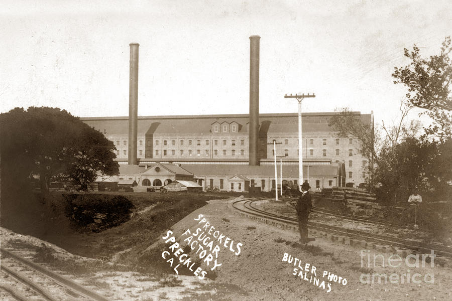 Sugar Beet Photograph - The Spreckels Sugar Beet Factory Near Salinas Circa 1905 by Monterey County Historical Society