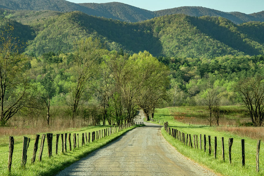 The Spring Colors of Cades Cove Morning on Hyatt Lane Photograph by Marcy Wielfaert