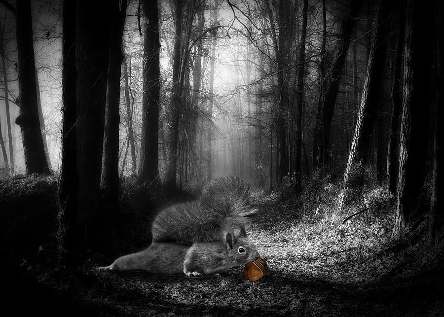 The Squirrel and the Acorn Digital Art by Doreen Erhardt