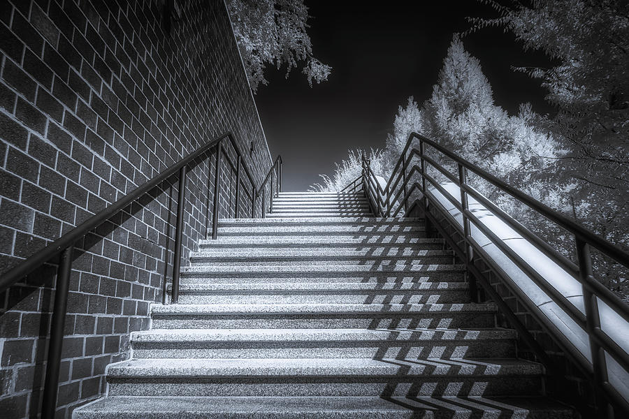 The Stairs Photograph by Penny Polakoff