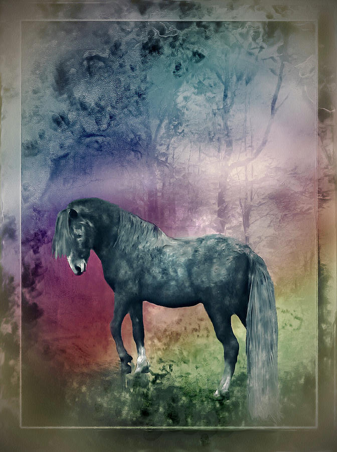 The Stallion In The Enchanted Woodlands Photograph