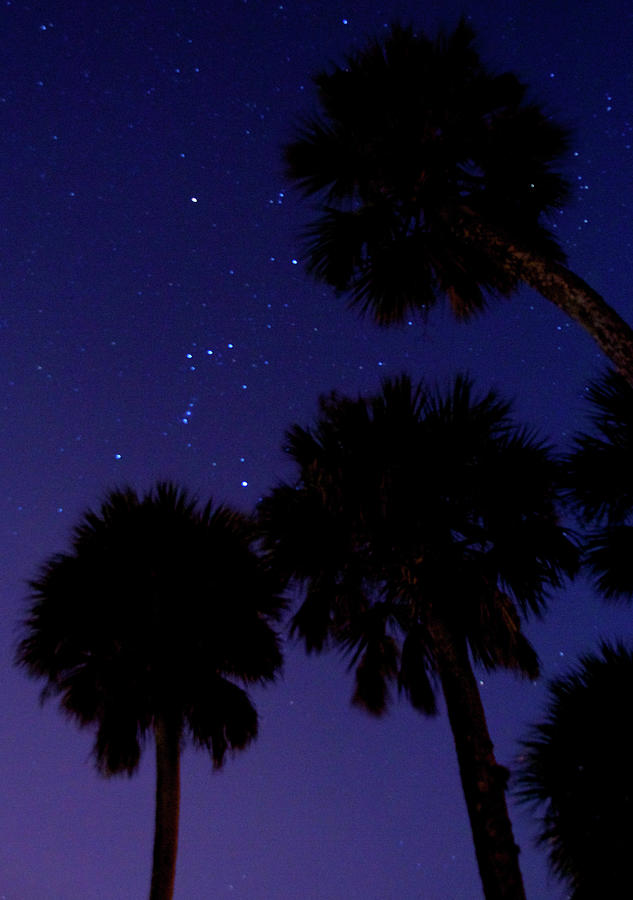 The Stars at Night Photograph by Melissa Southern