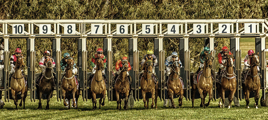 The starting gate Photograph by Johannes Brienesse
