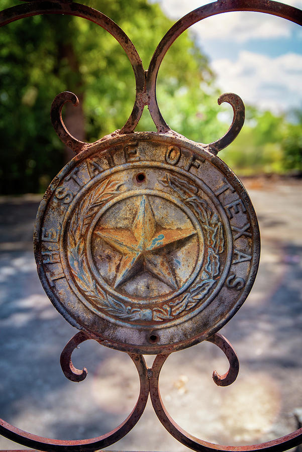 The State of Texas Iron Work Photograph by Lynn Bauer