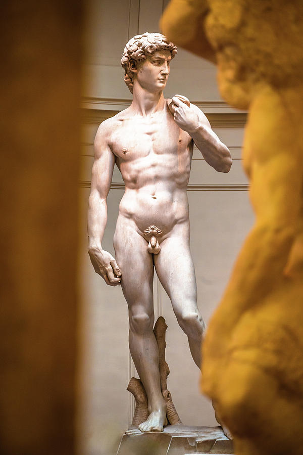 The Statue of David, completed Michelangelo Buonarroti Photograph by Brch Photography