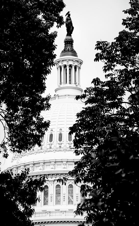 The Statue of Freedom Photograph by Karen Cox