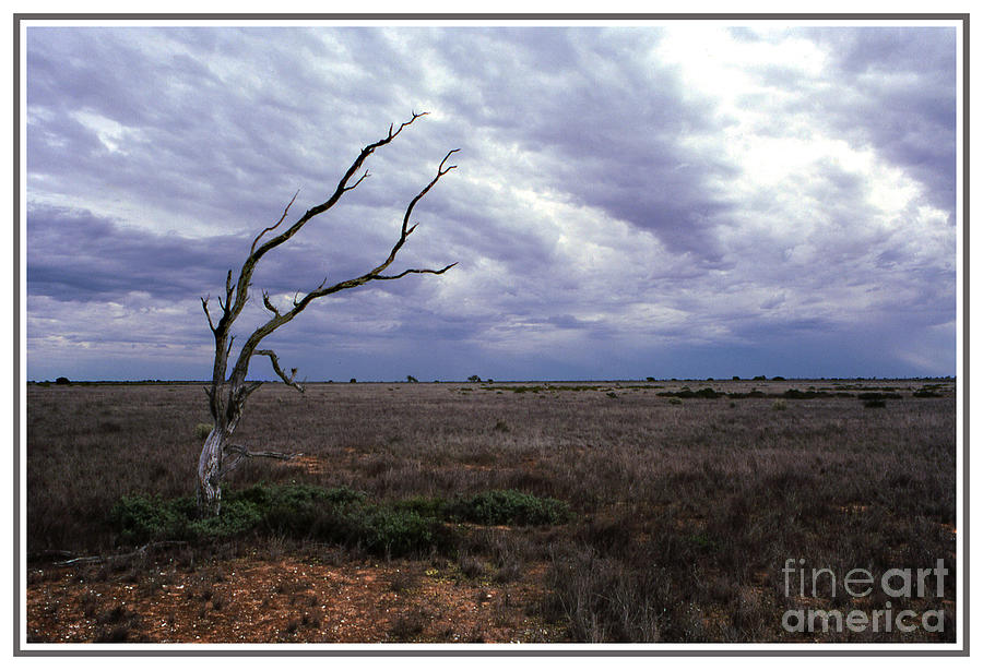the Steppe Nullarbor Plain Australia Photograph by Klaus Jaritz