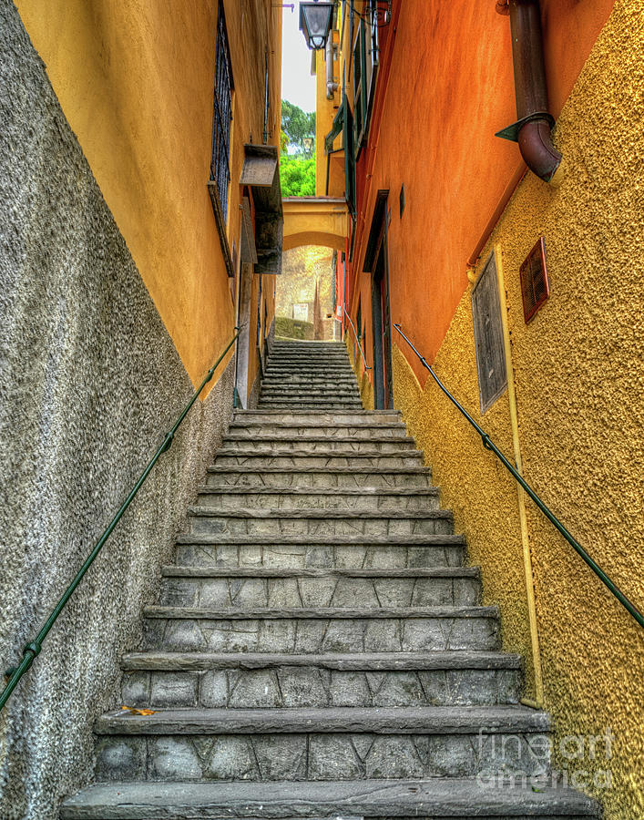 The steps Photograph by Izet Kapetanovic